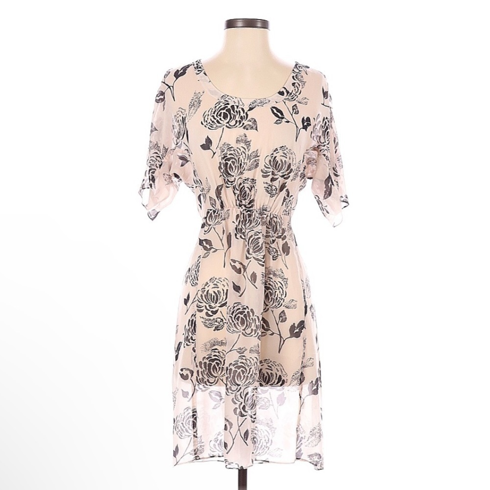 Banana Republic Sheer Dress | SIZE XS